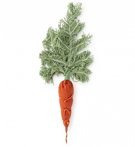 Cathy The Carrot