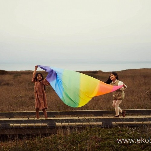 GAINT Rainbow Silkscape by Sarah`s Silks