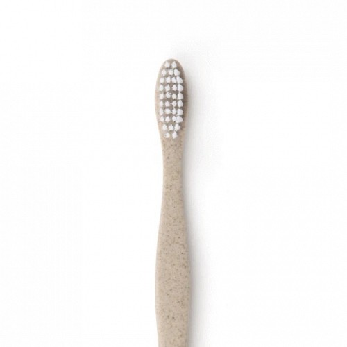 Cornstarch Toothbrush