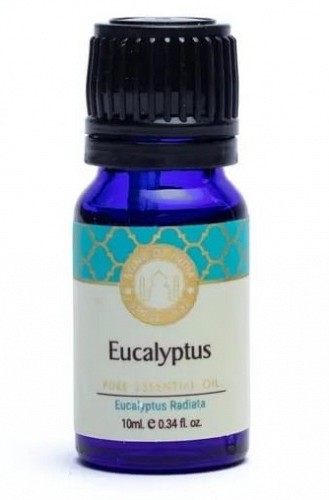 Eucalyptus Pure Essential Oil 10ml - Song of India