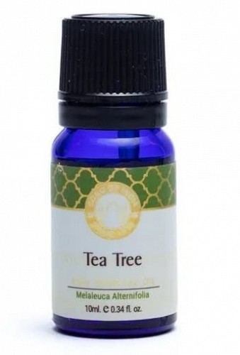 Tea Tree Pure Essential Oil 10ml - Song of India