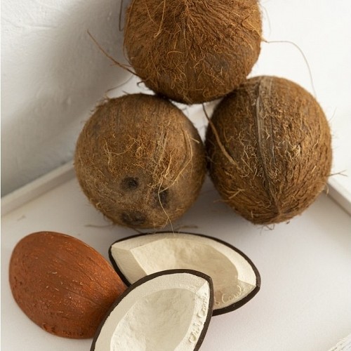 Coco the Coconut